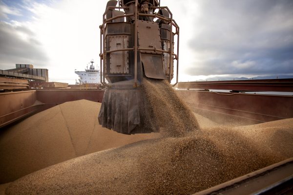 exportação de soja e farelo de milho