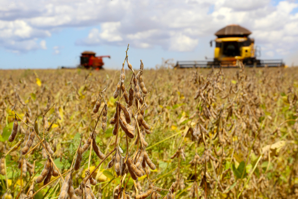 Abiove faz segundo corte na safra e exportações de soja do Brasil neste mês-