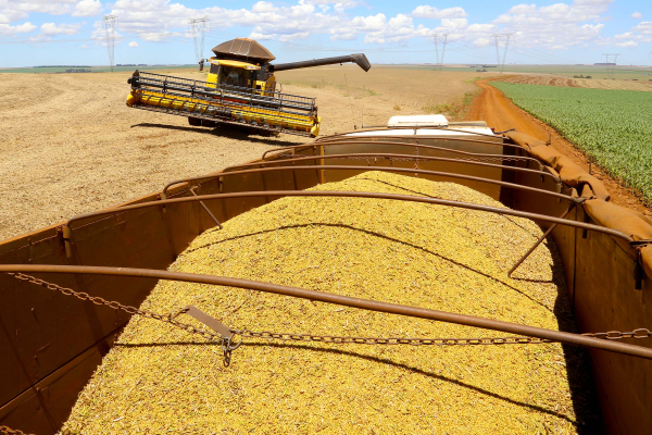 Abiove faz segundo corte na safra e exportações de soja do Brasil neste mês-