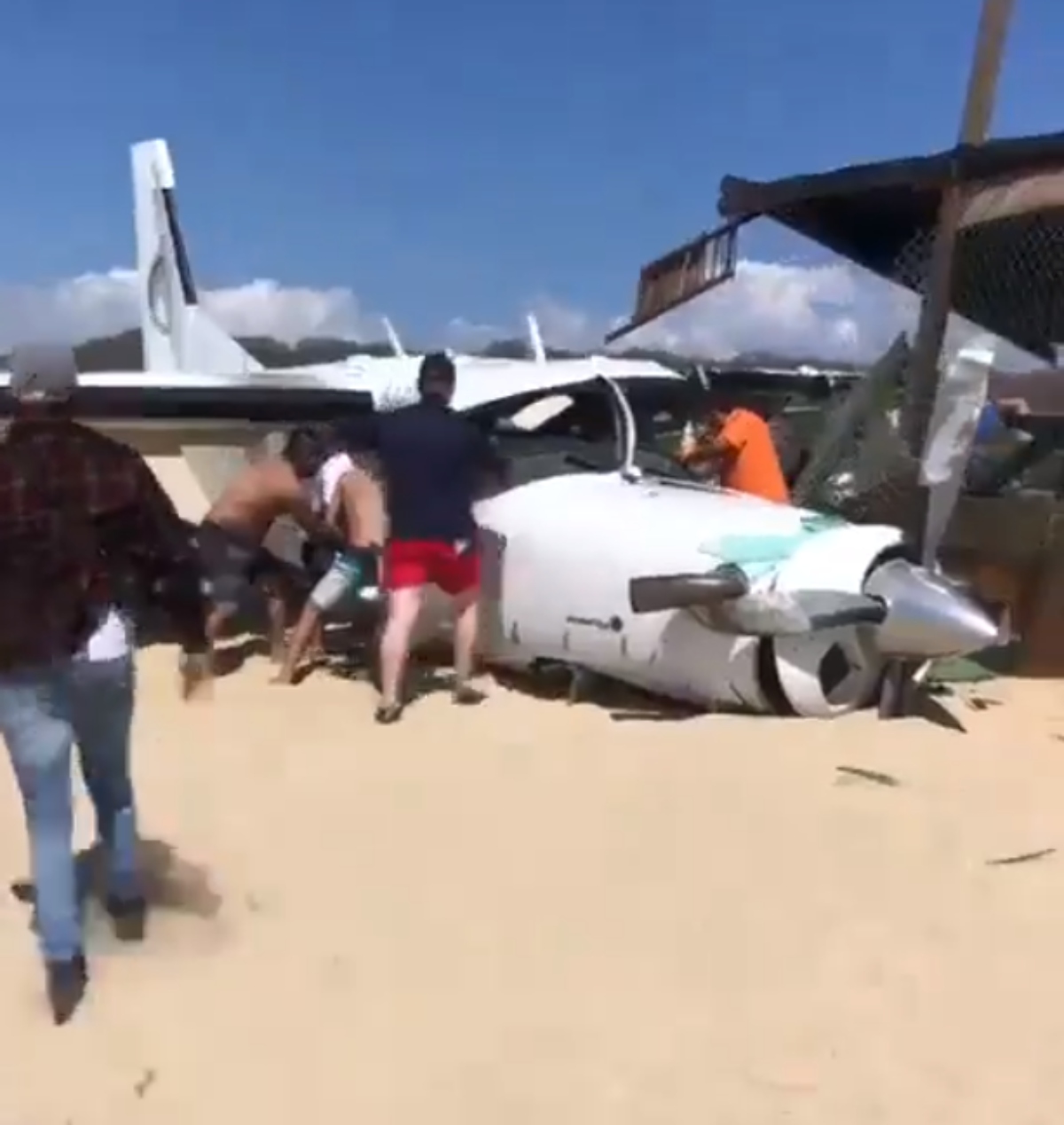  VÍDEO: Idoso morre atingido por avião em refúgio para tartarugas 