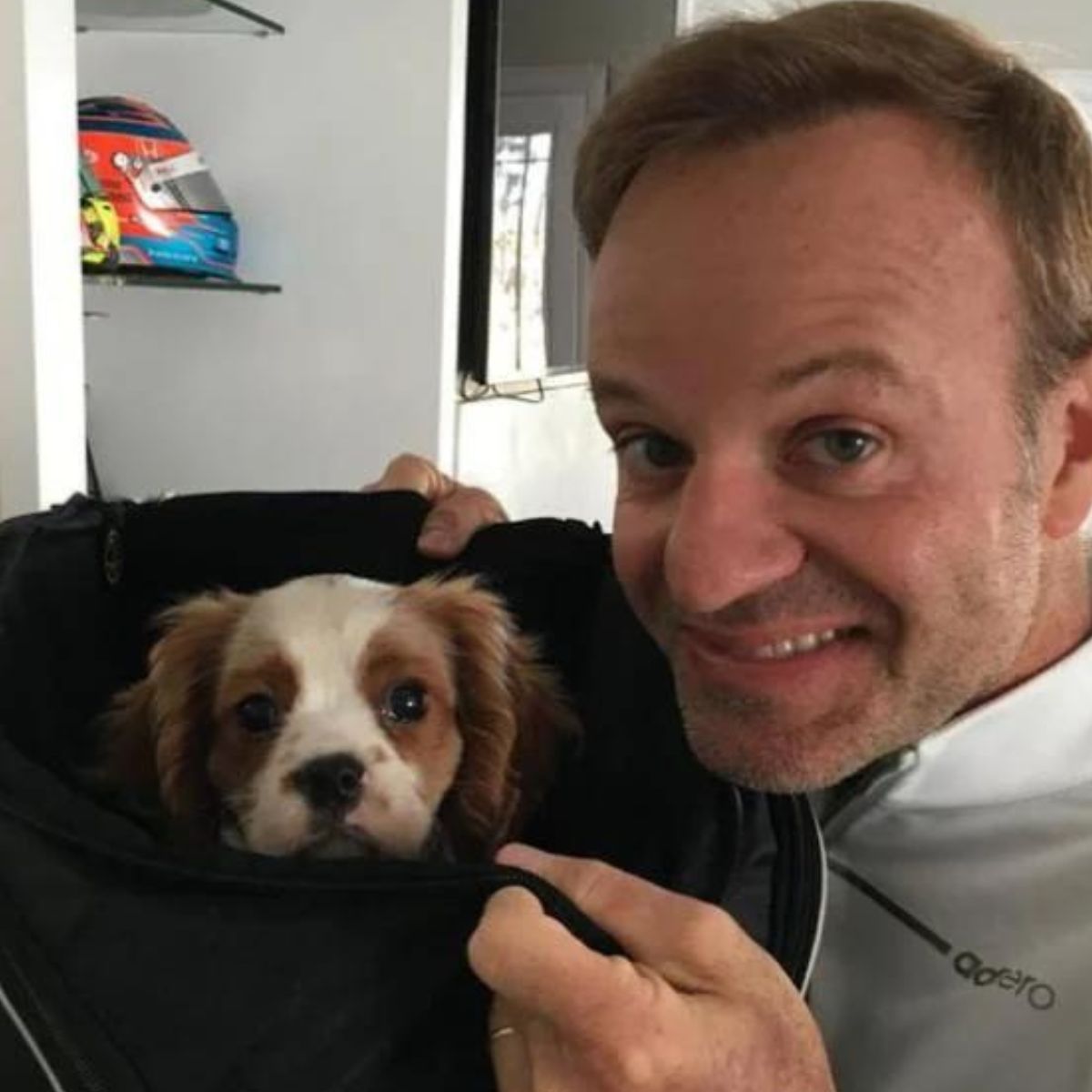  Cachorro de Rubinho Barrichello morre após comer 11 bitucas de cigarro 