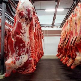 O extrato de carne é um produto de alto valor e agora será importado por Cingapura