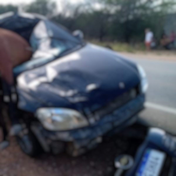 Cavalo foi atropelado por um veículo na rodovia local na região da Vila do Ferro Novo, em Sertânia, Pernambuco
