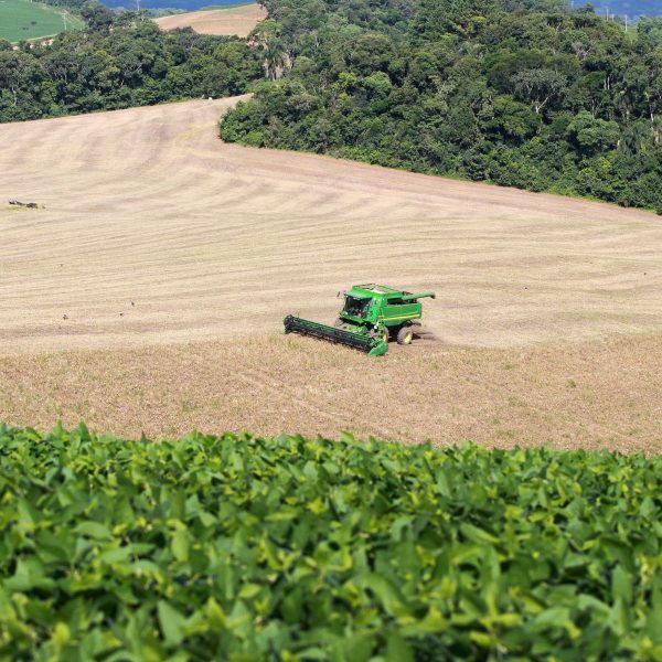 Safra de verão deve ter baixa produção de grãos no Paraná