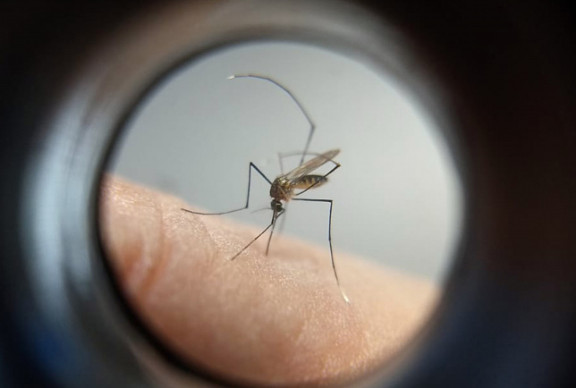 Após aumento de casos, Maringá entra em epidemia de dengue