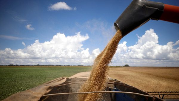 Produção de soja no Mato Grosso tende a ser a pior em 15 anos