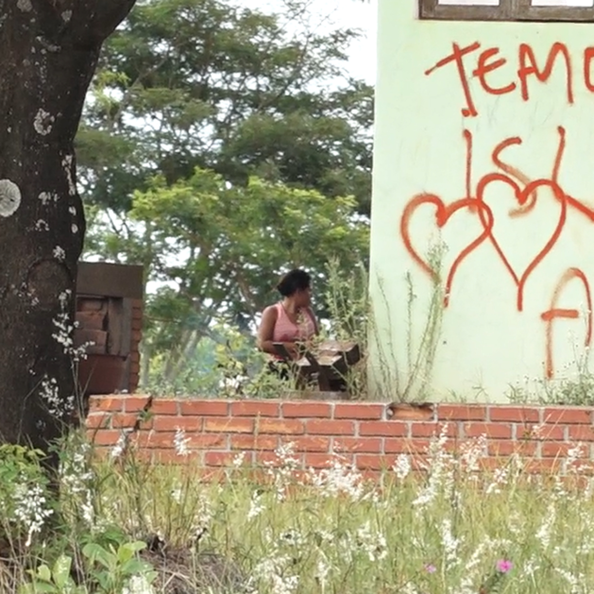  demarcação terras indígenas guaíra 