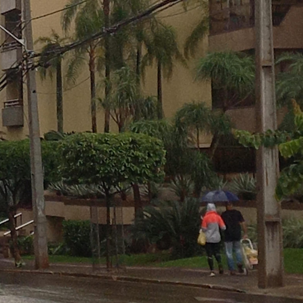 chuva e calor Londrina e região