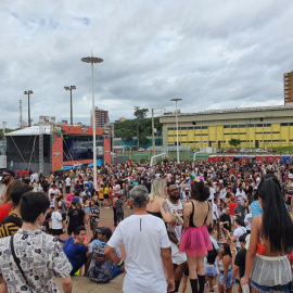 pessoas em festa de carnaval