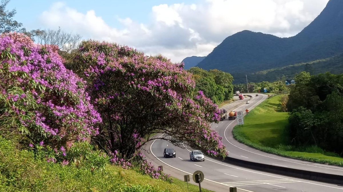  Movimento das estradas no carnaval no Paraná 