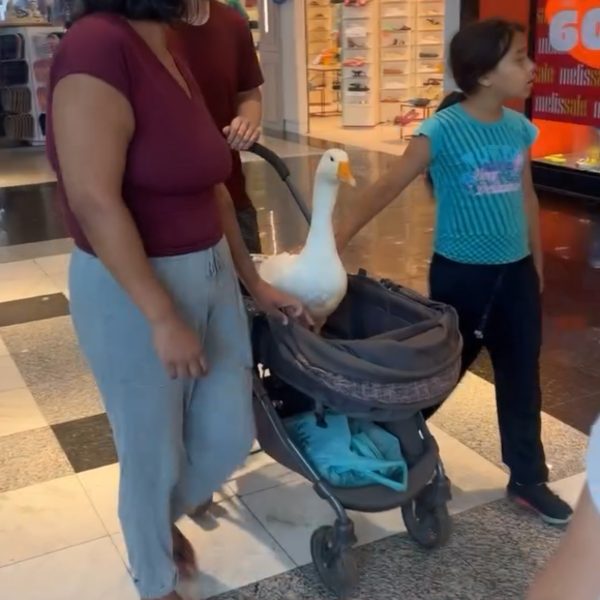 Ganso é flagrado passeando em shopping