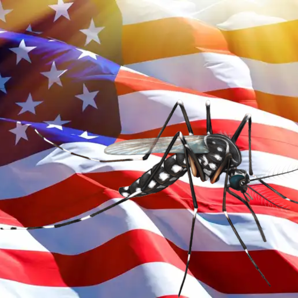 Estados Unidos emite alerta de dengue sobre viagem ao Brasil