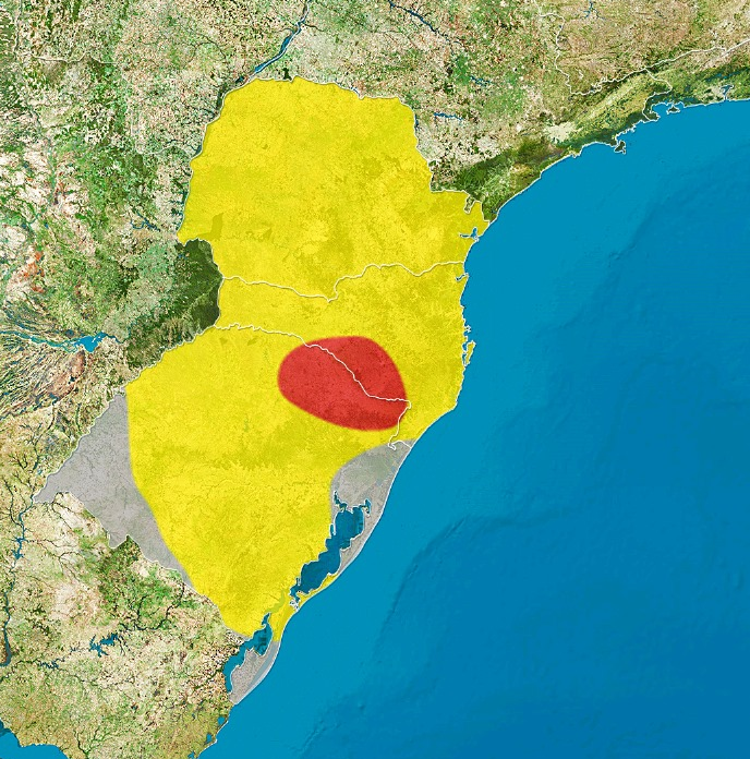  Semana deve começar com risco de chuvas irregulares no Paraná; veja previsão-- 