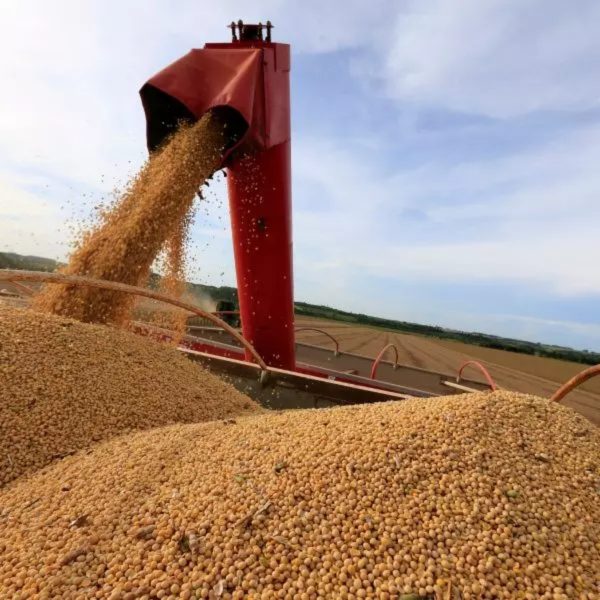 Exportações agropecuárias crescem no Paraná em 2023