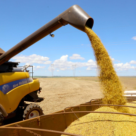 Soja cai após dados de exportações dos EUA e milho também recua--