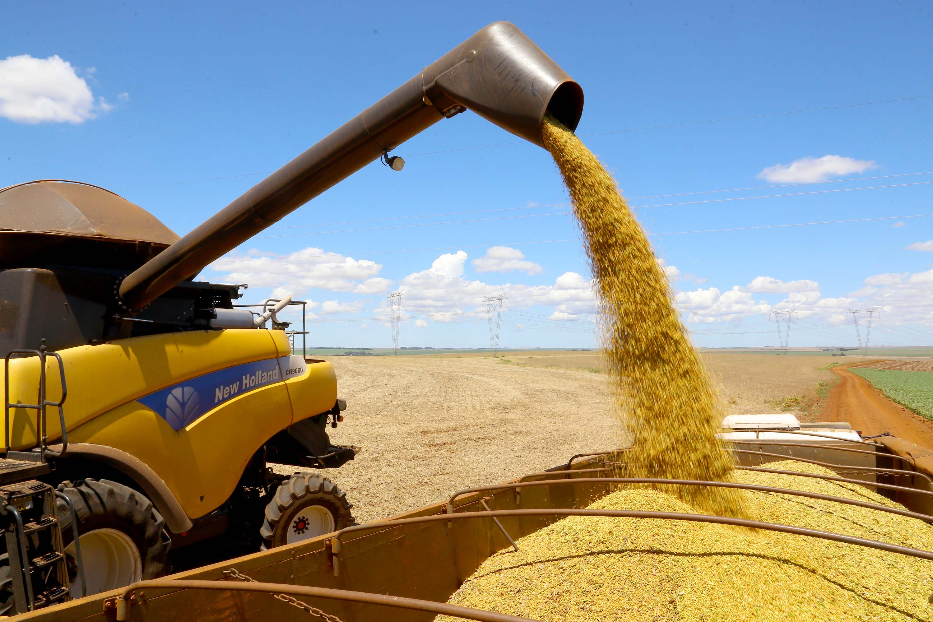 Soja cai após dados de exportações dos EUA e milho também recua-- 