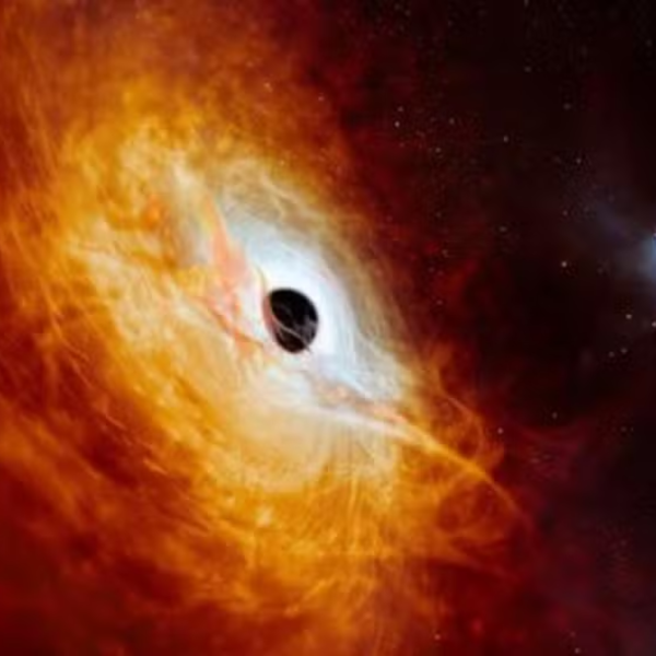 buraco negro na galáxia J0529-4351