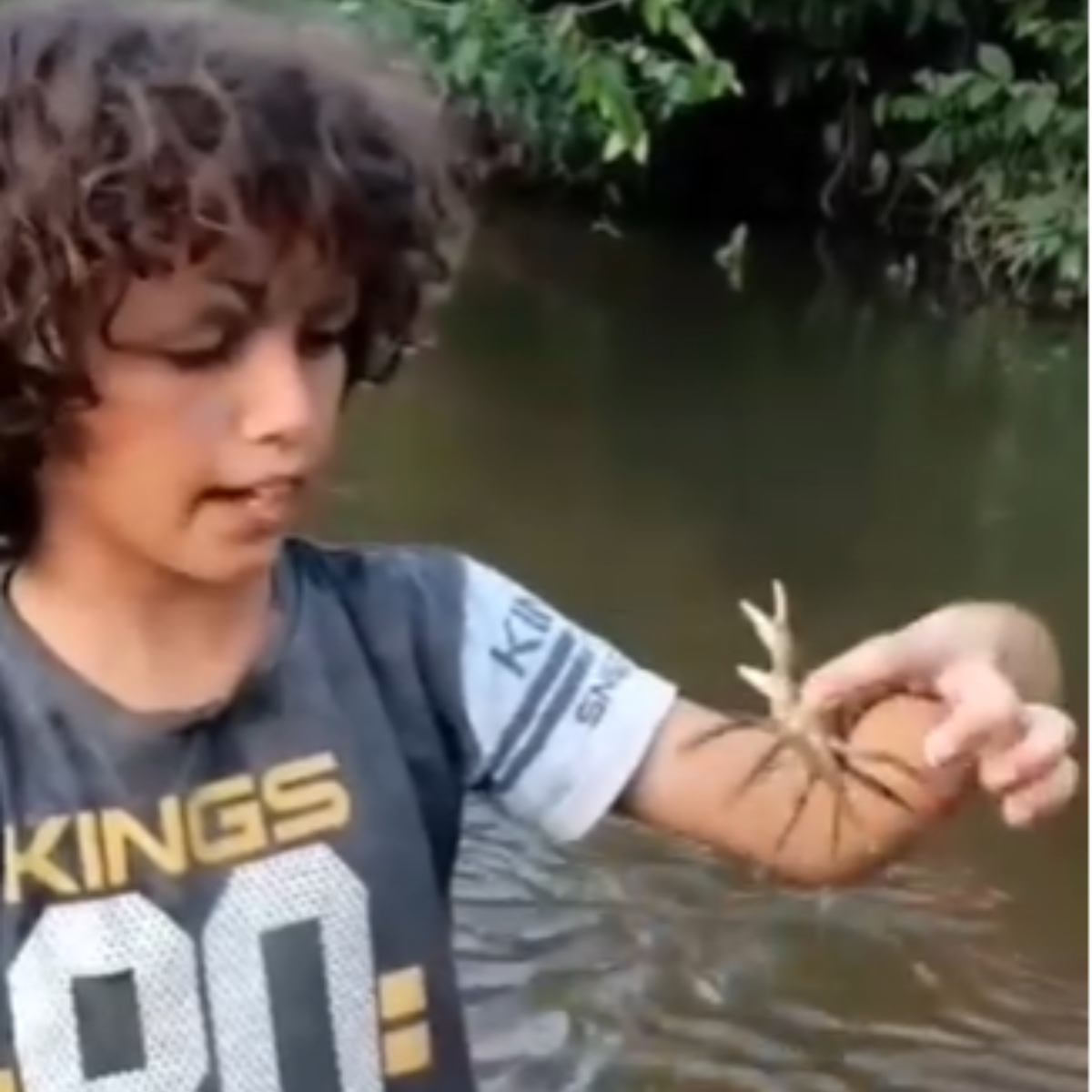  joão pedro usa animais selvagens para brincar em rondônia 