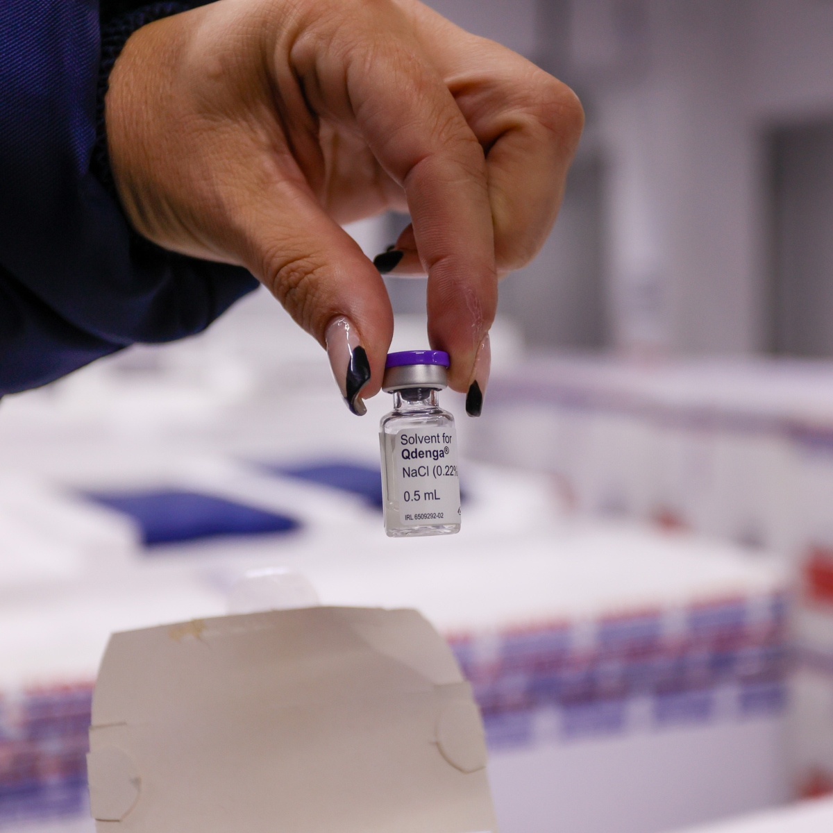 vacinas contra a dengue no Paraná