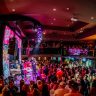 Aniversário de Curitiba: bar terá festa temática com “licor capivara”