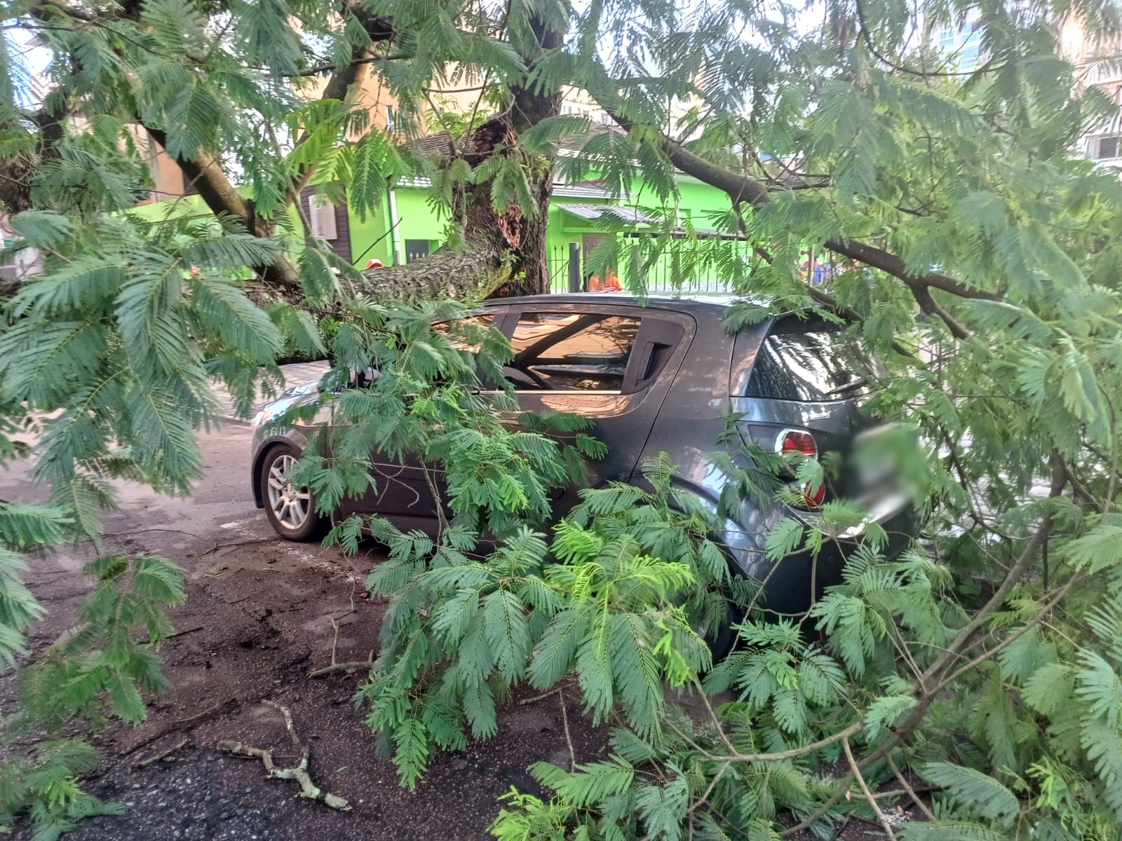  Árvore despencou sobre um veículo após explosão em rede elétrica 