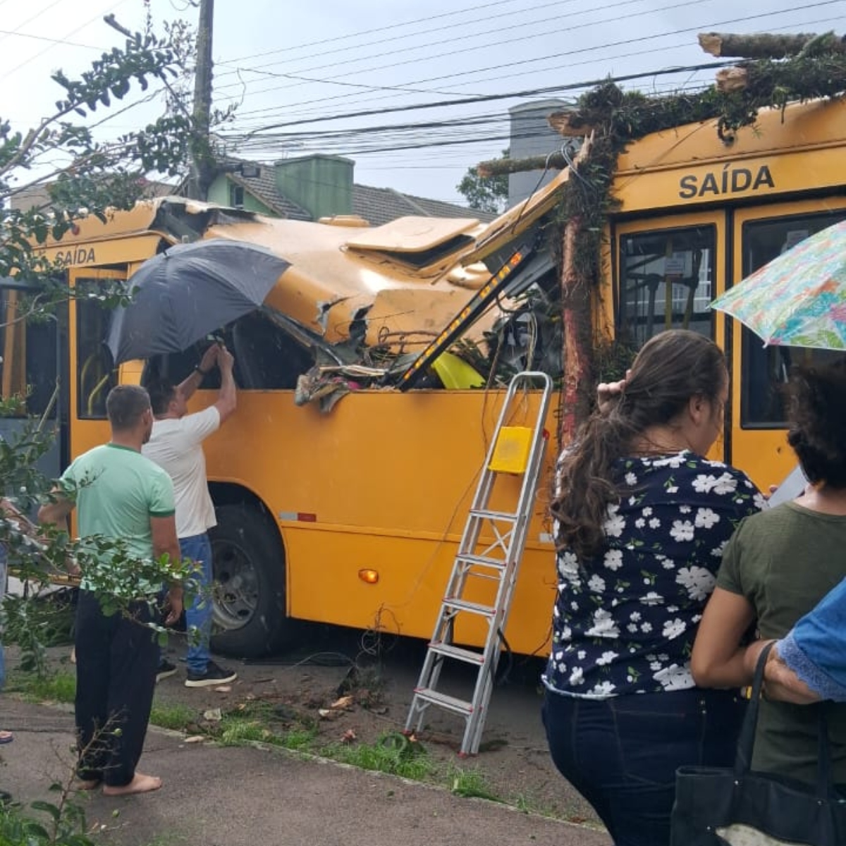  Árvore cai em ônibus durante temporal em Curitiba 