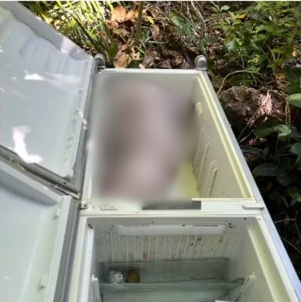 Corpo de mulher é encontrado em geladeira por motorista de frete durante mudança