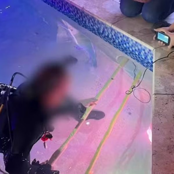 Criança desaparecida é encontrada morta em tubulação de piscina de hotel
