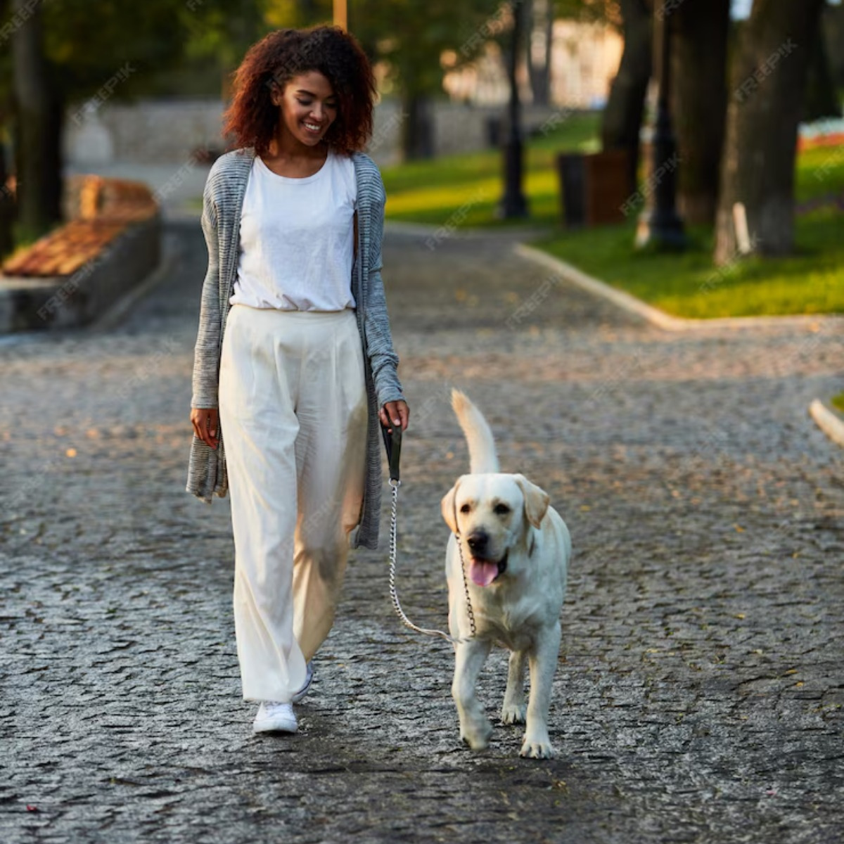  ExpoLondrina 2024 terá espaço pet friendly; veja como vai funcionar 