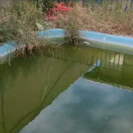 Fiscalização invade imóvel com piscina suja e larvas do Aedes aegypti; vídeo