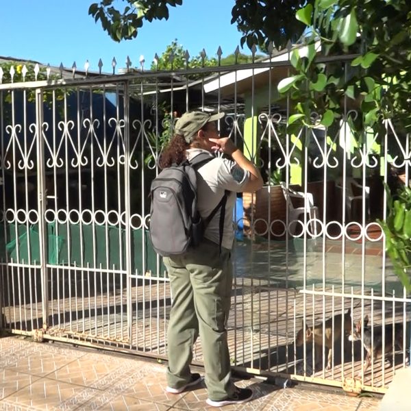 Foz do Iguaçu emergência dengue