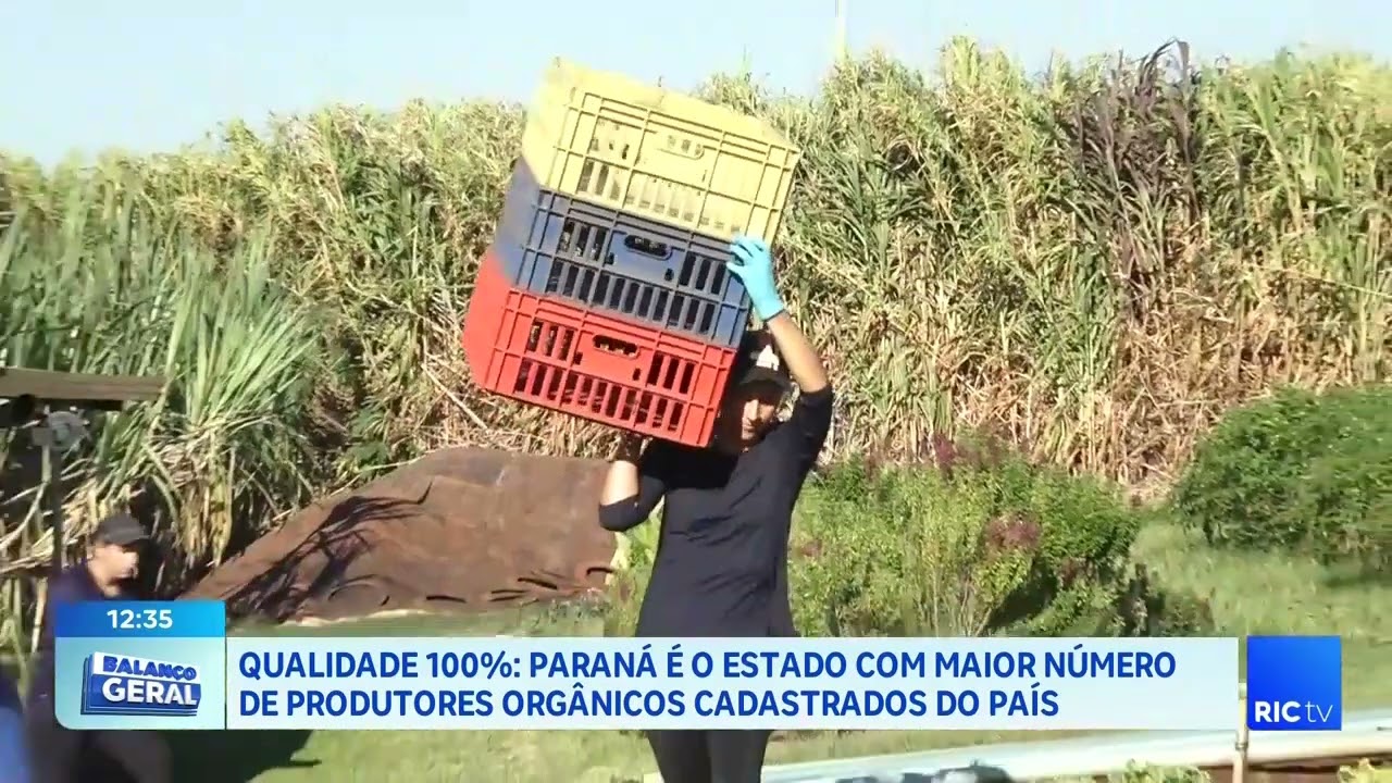 Qualidade 100% Paraná é o estado com maior número de produtores orgânicos