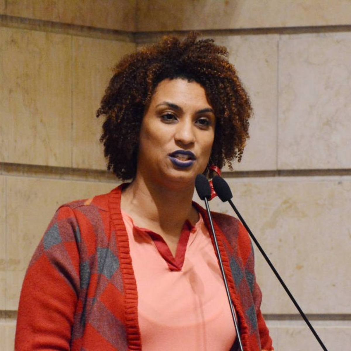  Caso Marielle Franco: entenda o que acontece agora com a investigação 