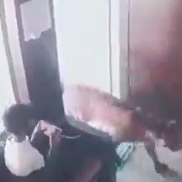 VÍDEO: Menino é surpreendido por leopardo, prende animal em casa e foge