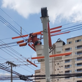 pássaro causa curto-circuito em Londrina e deixa imóveis sem energia