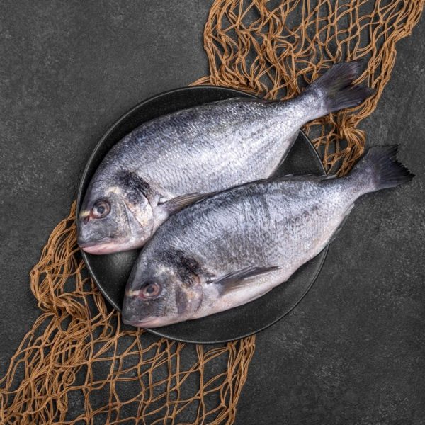  Peixes com cocaína: animais estão contaminados após vazamento em esgoto 