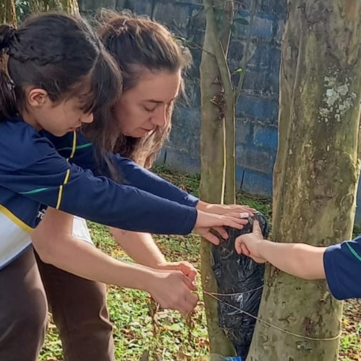  Projetos de estudantes paranaenses finalista prêmio nacional de educação 