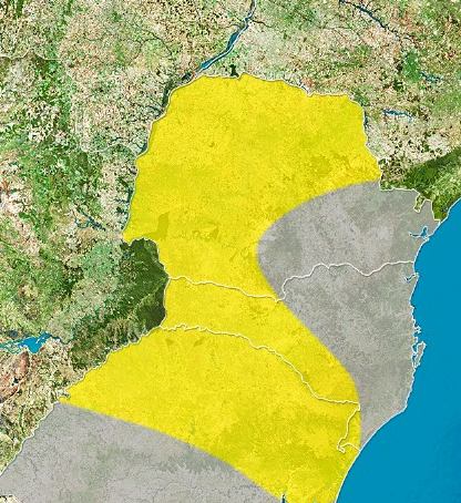  Temperaturas devem passar dos 30°C no Paraná nesta quinta (14); veja previsão 