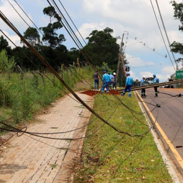 Temporal causa mais 4.000 danos no Paraná; saiba mais