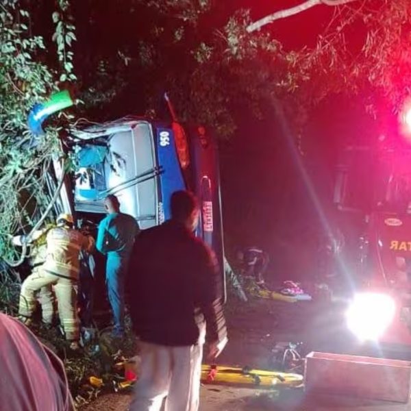 Acidente ônibus: motorista tenta desviar de cachorro, ônibus tomba e mata sete