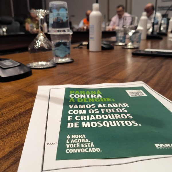 Boletim confirma mais 31 mortes por dengue no Paraná