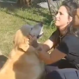 o funcionário terceirizado da Sanepar atinge o cachorro no olho