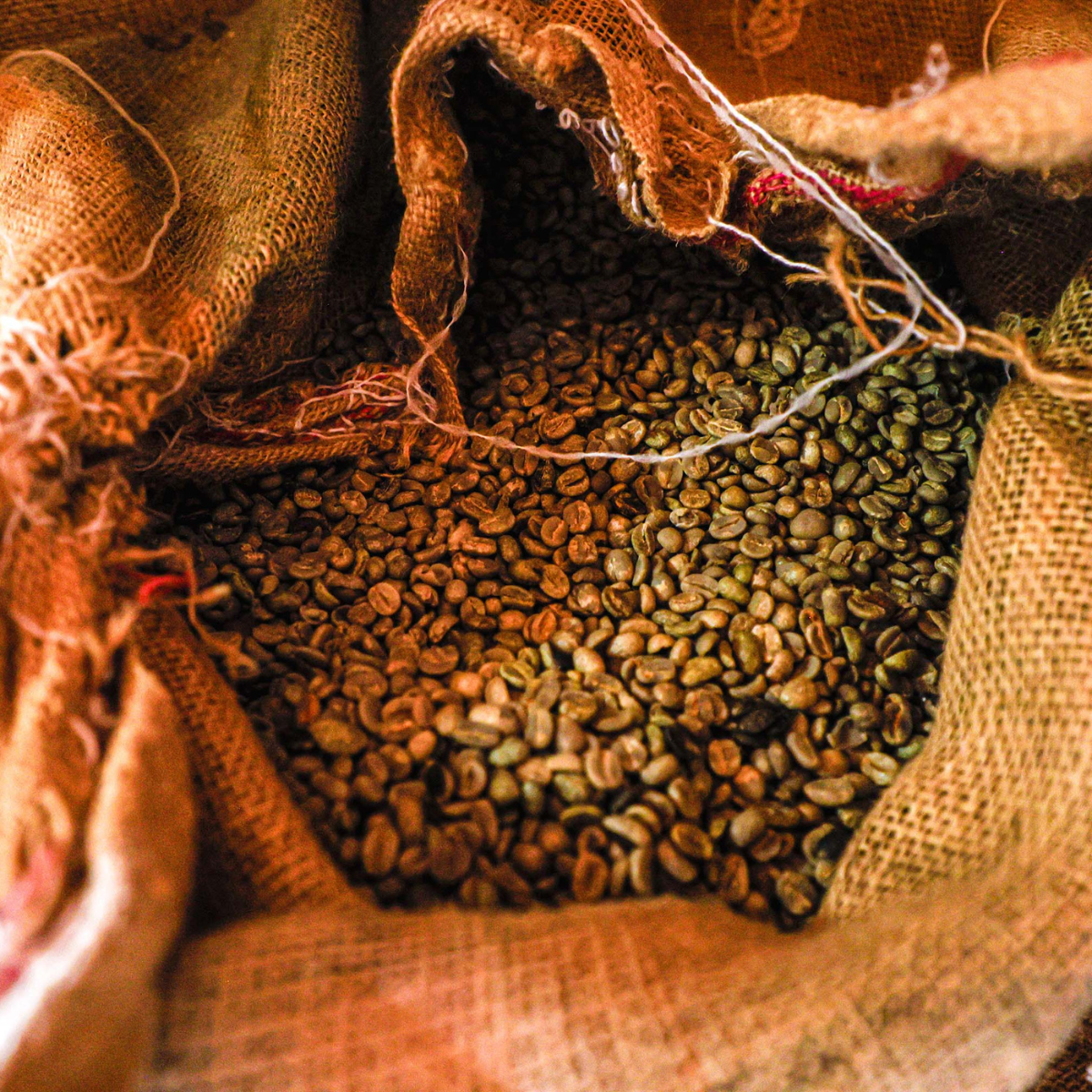  O cultivo de café ocupa em torno de 30 mil hectares no PR 
