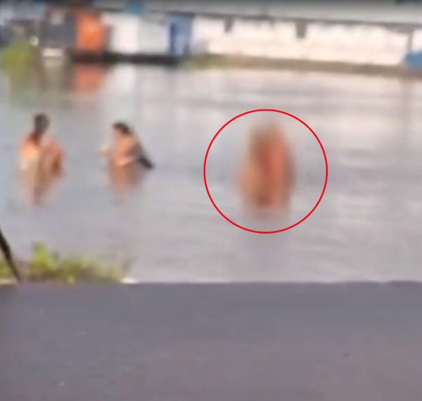 VÍDEO: Casal é flagrado tendo relações sexuais no meio de banhistas