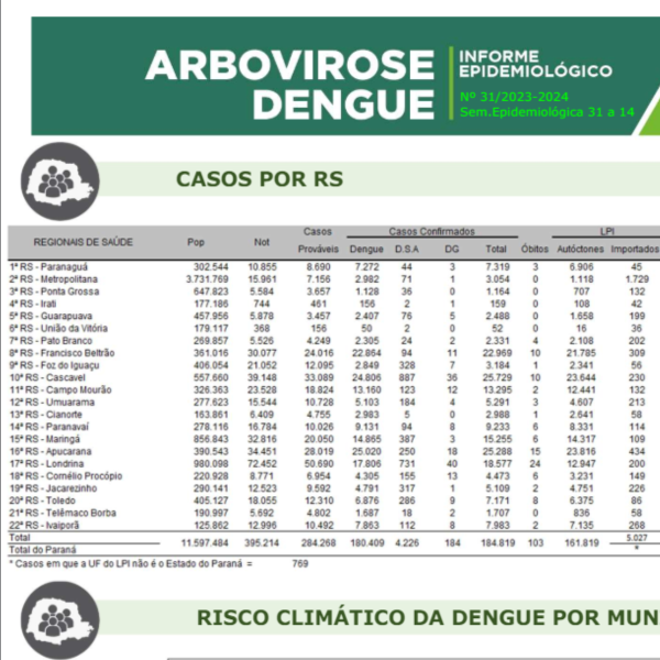 Norte do Paraná registra mais de 50% das mortes em boletim da dengue