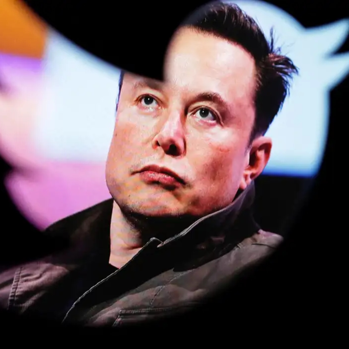  Elon Musk x Alexandre de Moraes: Veja países onde o X é proibido 