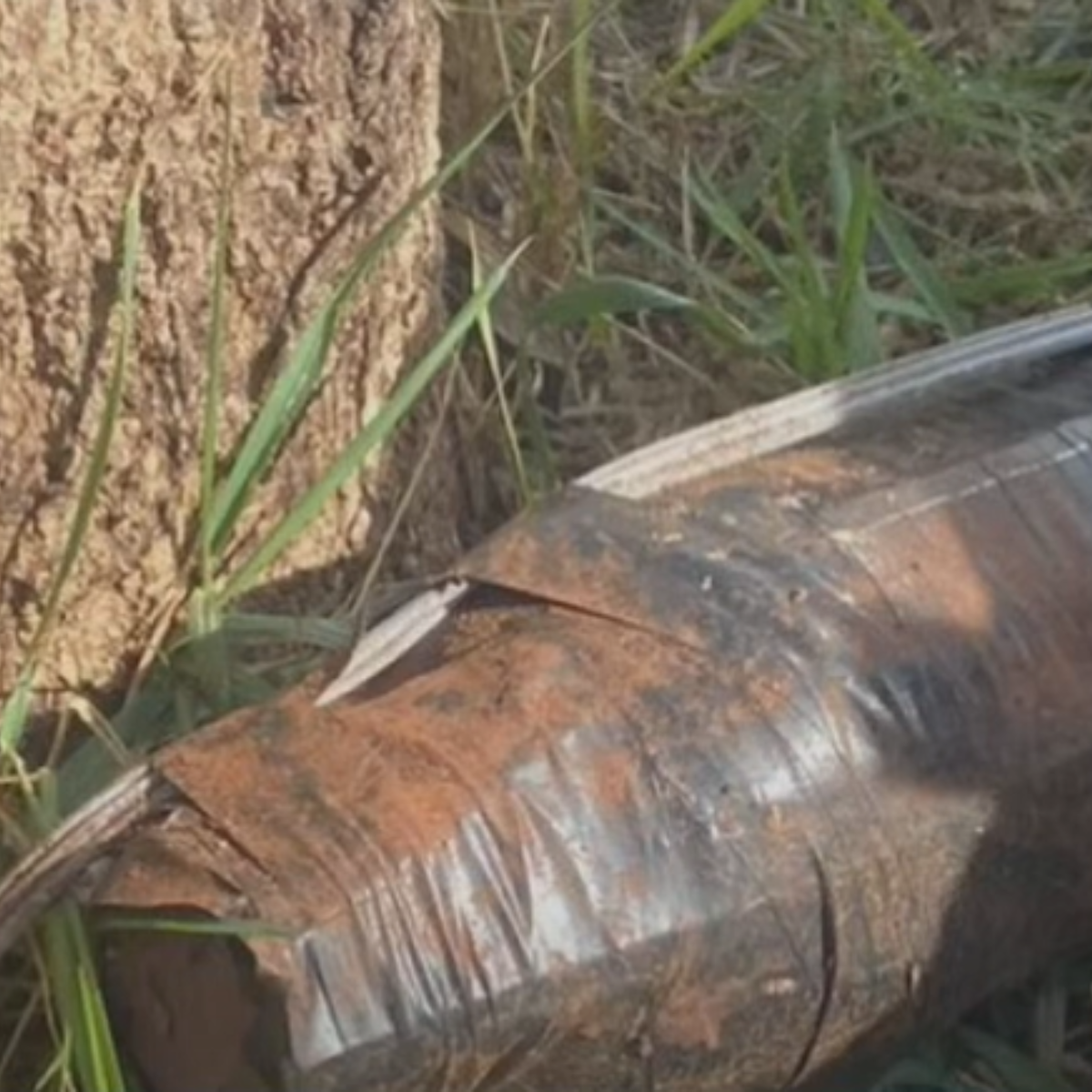 Esquadrão antibombas explode artefato suspeito no norte do PR