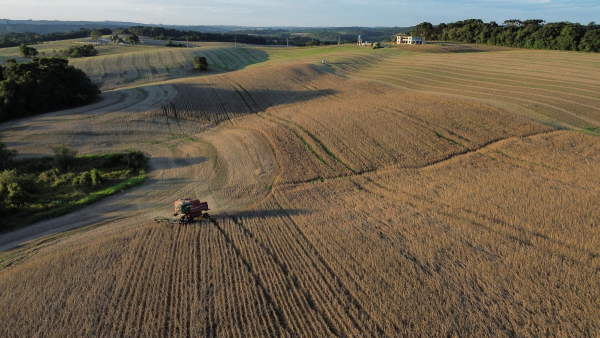 Projeção de safra de soja é reduzida para 146,3 mi de toneladas pela Datagro