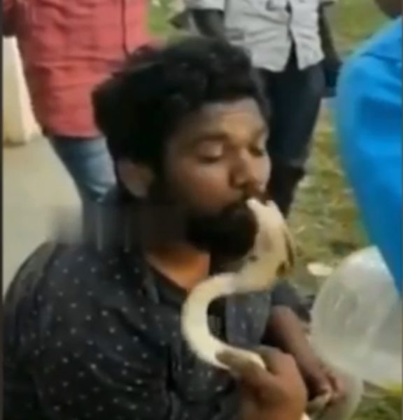 VÍDEO: Homem é picado na boca enquanto beijava cobra venenosa