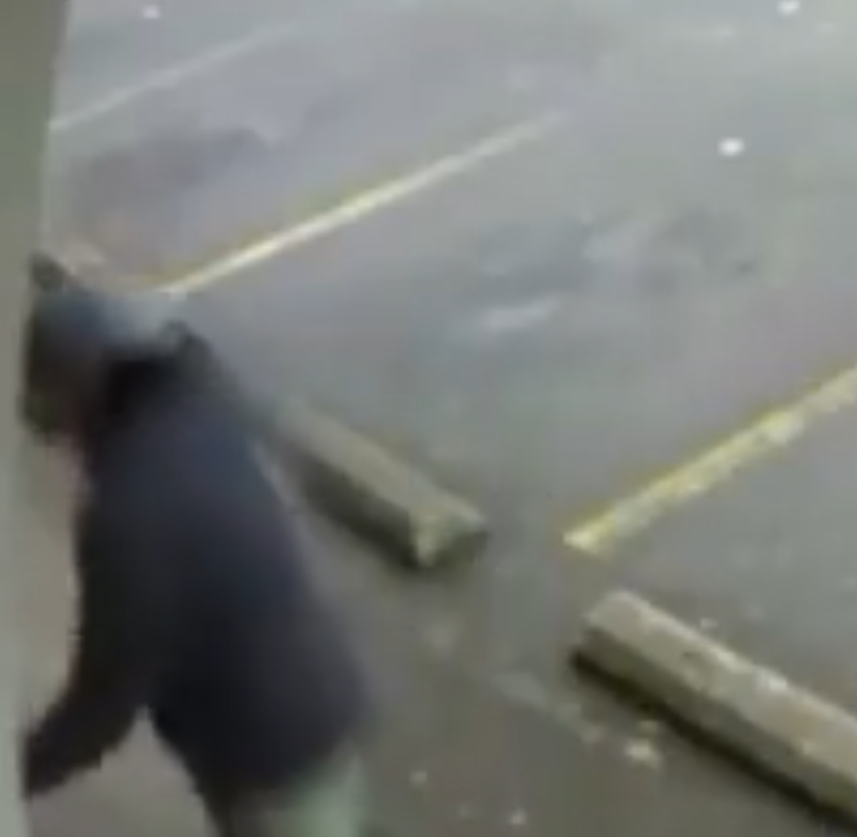  VÍDEO: Homem escapa por pouco de ser atingido por serra gigante 